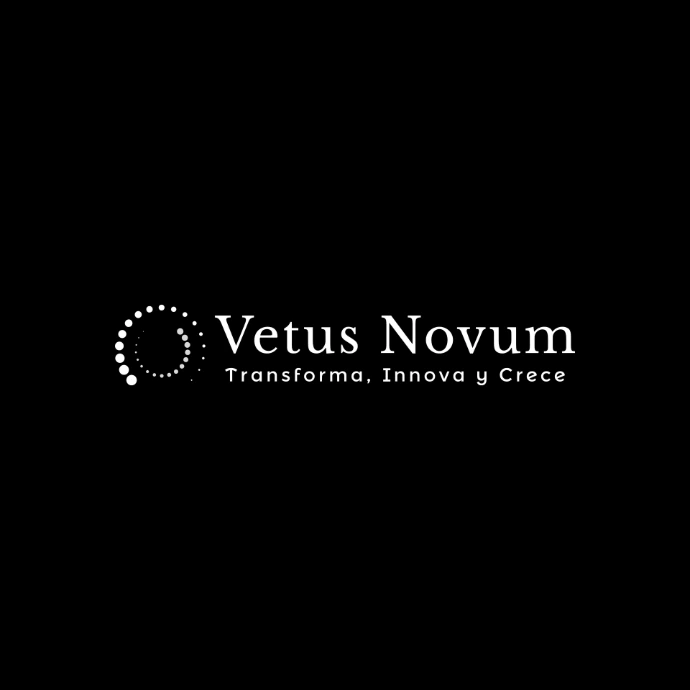 Vetus Novum Logo
